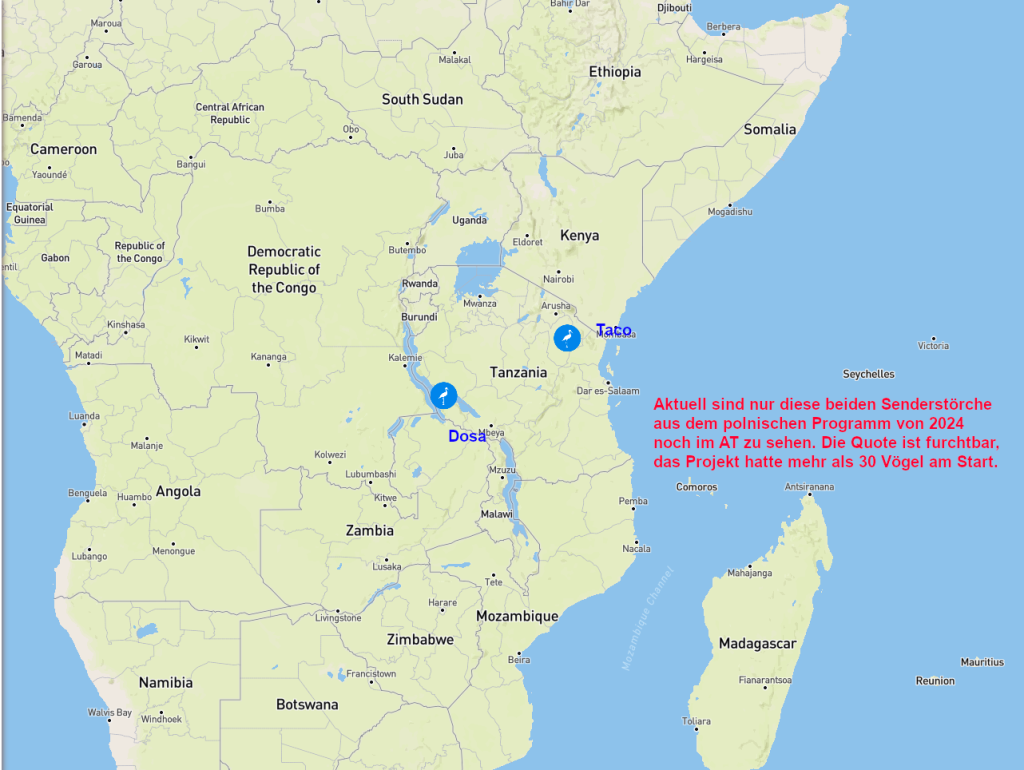 Screenshot 2026-01-06 at 18-39-30 Animal Tracker.png