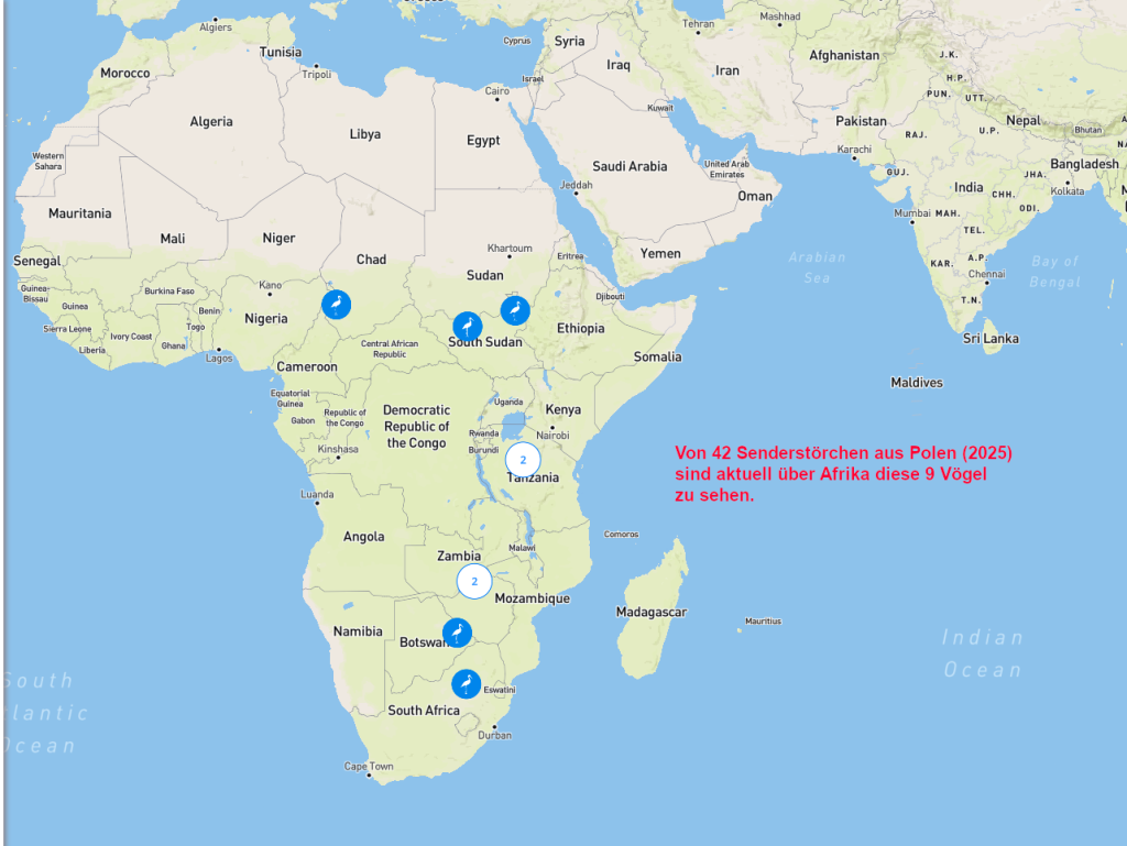 Screenshot 2026-01-06 at 18-38-02 Animal Tracker.png