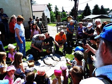 13.06. Beringung in Grethen  (1).JPG