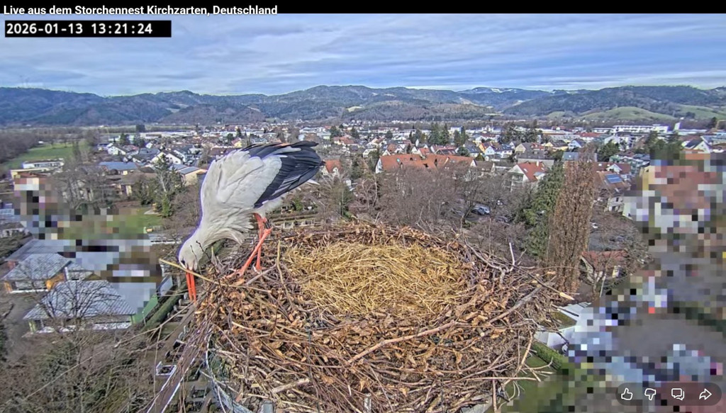 Ulla nimmt die Ausstattung wahr: "Das sieht ja sehr sauber aus und ist gut gefüllt, sehr schön ... nur die äußeren Äste stehen etwas ab!"