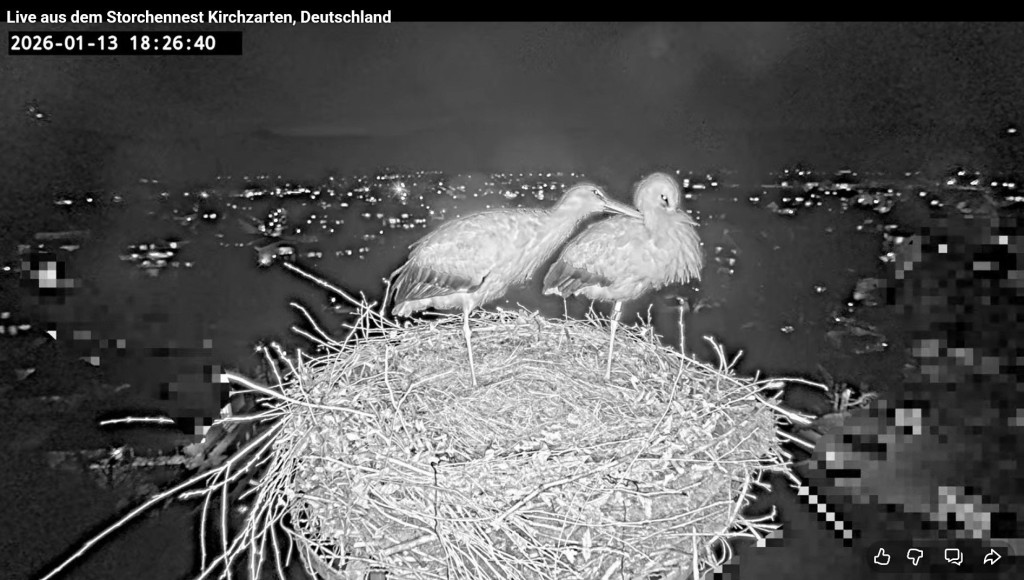 Spätestens jetzt ist klar, wer hier wer ist: Ulla beknabbert mal wieder ihren Edgar.