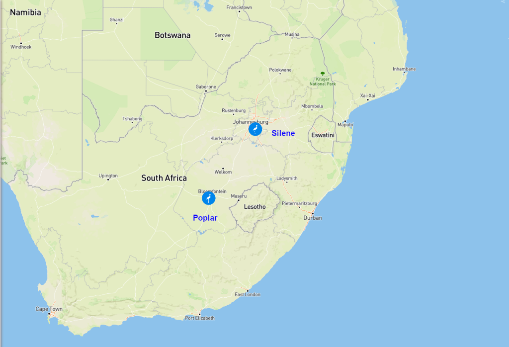 Poplar und Silene in Südafrika. Poplar müsste noch rund 500 Kilometer fliegen, um ganz unten an den südlichsten Zipfel von Afrika zu gelangen.