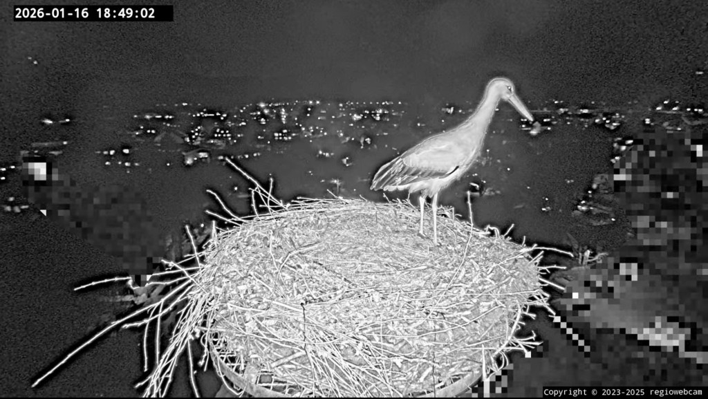 Von Edgar keine Spur. Übernachtet er anderswo? <br />Ulla schaut sich fast eine ganze Stunde lang um, bevor sie endlich ein wenig zur Ruhe findet.