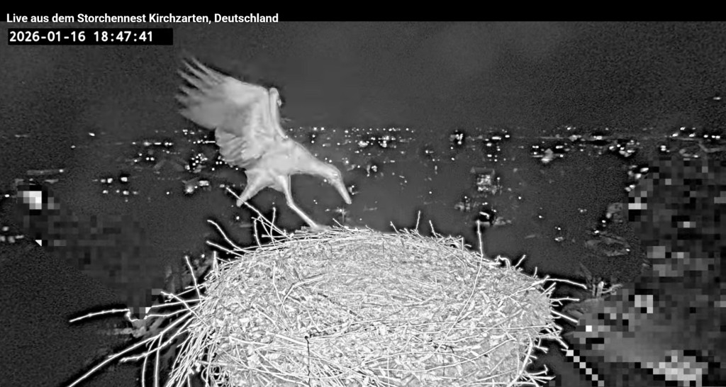 Um 18:47:41 Uhr ist Ulla allein zurück.