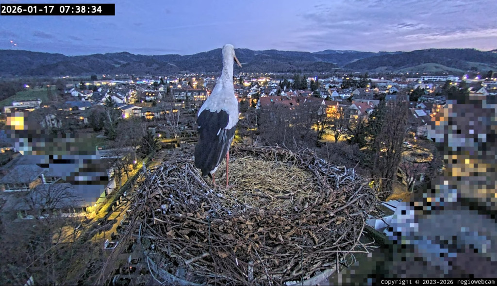 17. Jan. 2026, 7:38 Uhr: Ulla fokussiert eine Bewegung im linken Auge. Ist es Edgar?