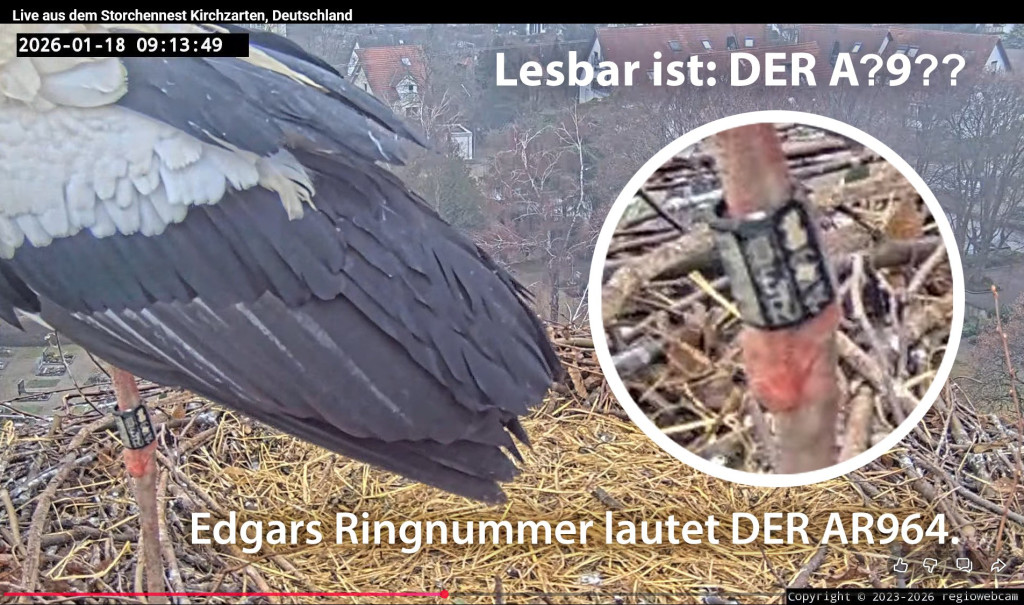 Kirchzarten_2026-01-18 09Uhr13-49_Edgars-Ringnummer-Zoom_bearb.jpg