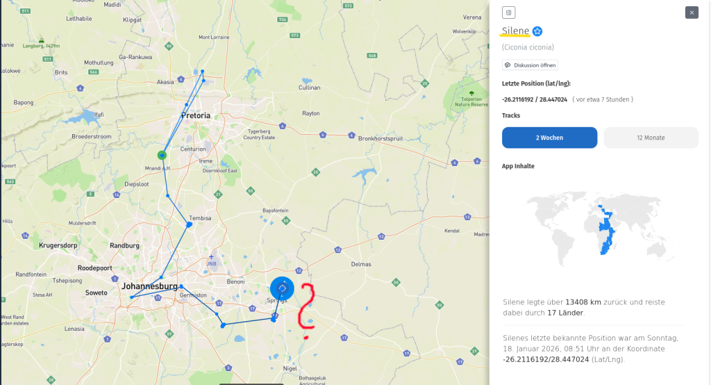 Silene: Der 'zweitsüdlichste' Storch im AT.