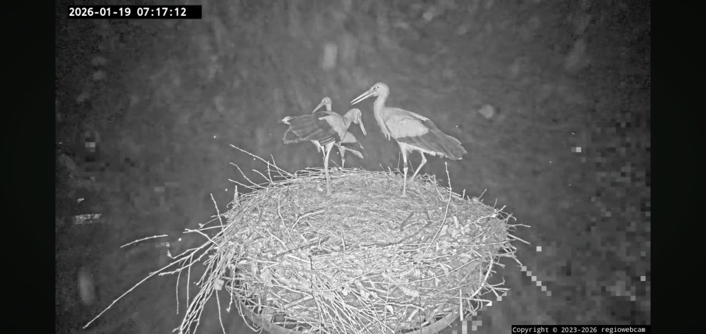 Quelle: www.regiowebcam.de