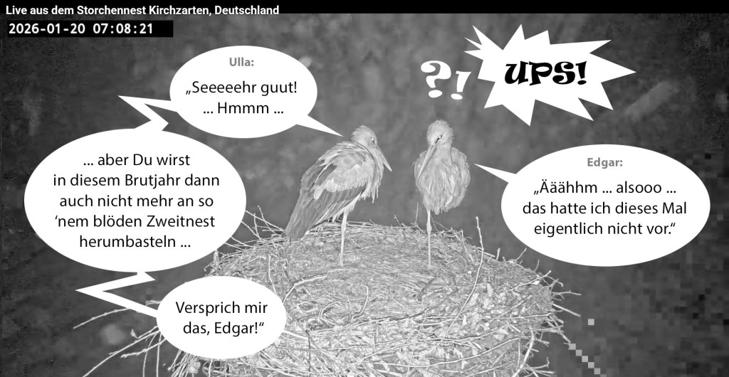 Kirchzarten-Comic-1_05_2026-01-20 07Uhr06_Ulla-u-Edgar-im-Nest_bearb.jpg