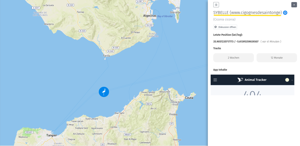 Sybelle beim Überflug über die Straße von Gibraltar.