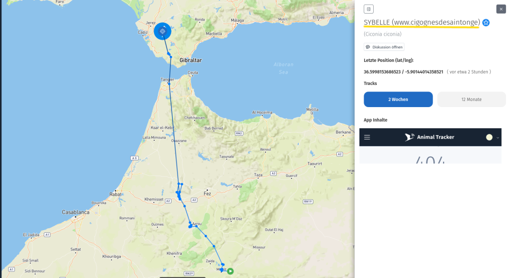 Sybelle ist in Spanien angekommen.
