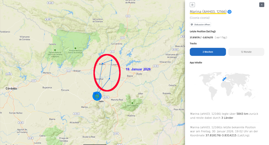 Marina. Leider sieht sein Bewegungsradius in den vergangenen 14 Tagen sehr eng aus. Was bedeutet das?