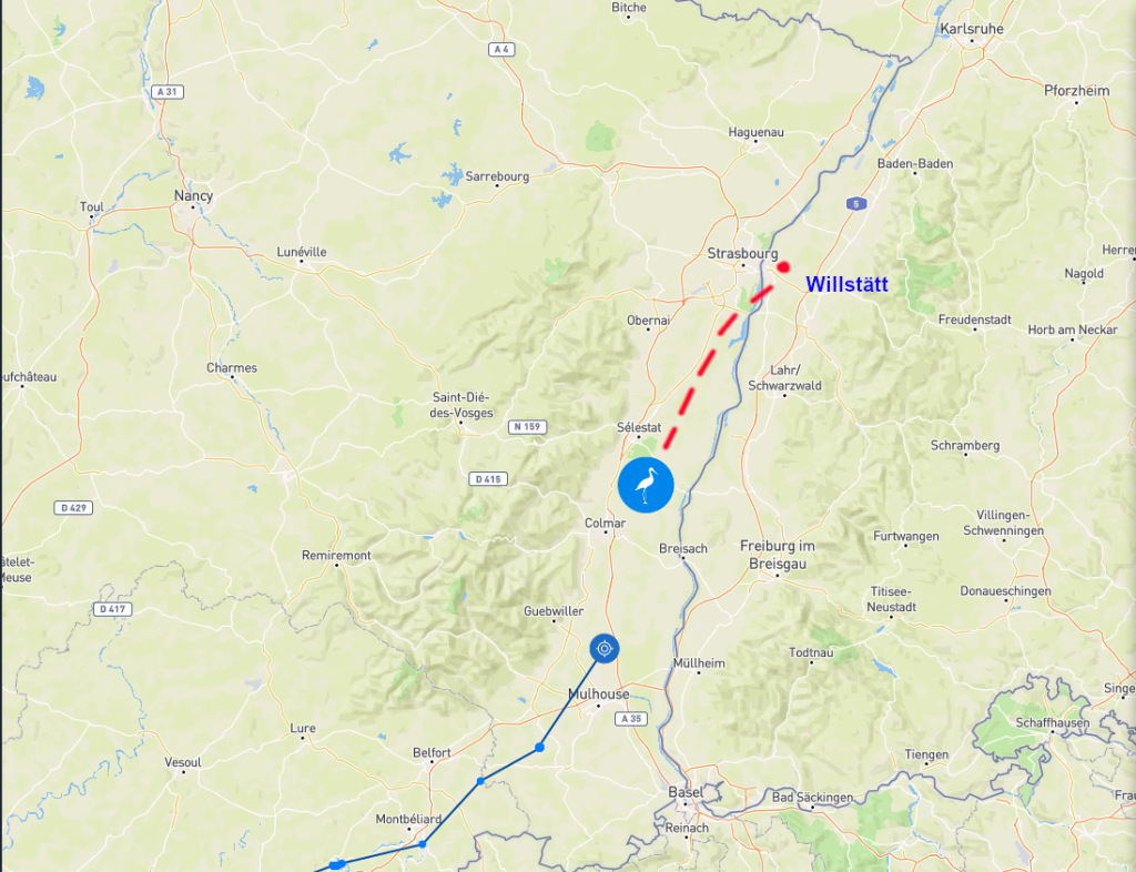 Screenshot 2026-02-03 at 16-59-03 Animal Tracker.png