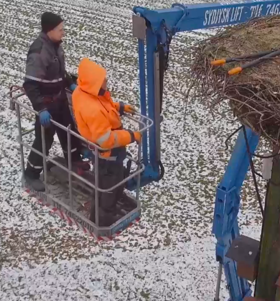 Screenshot_20260207-094343 (1).png