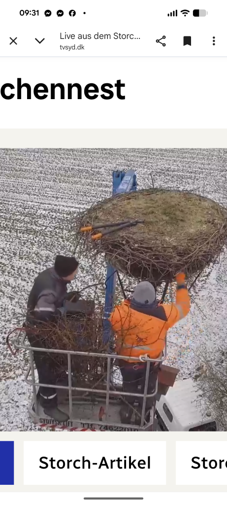 Screenshot_20260207-093131 (1).png