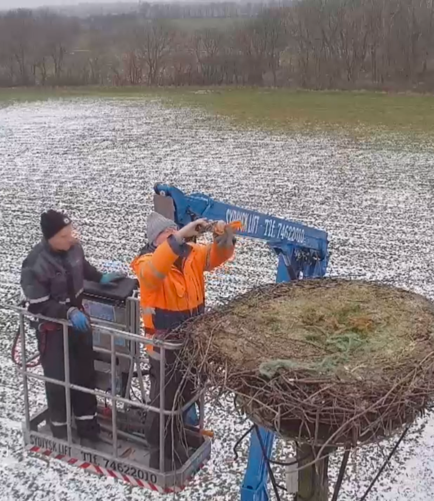 Screenshot_20260207-092105 (1).png