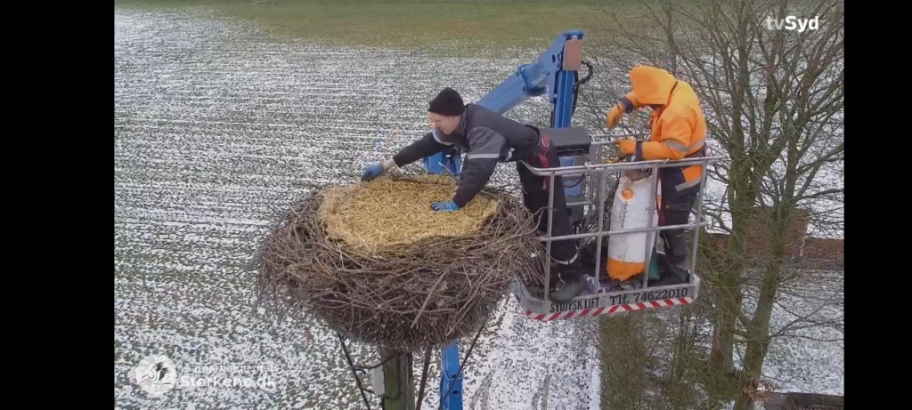 Screenshot_20260207-114145 (1).png