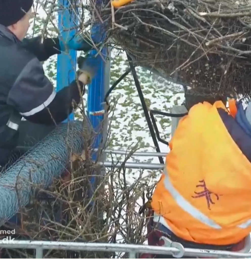 Screenshot_20260207-095954 (1).png