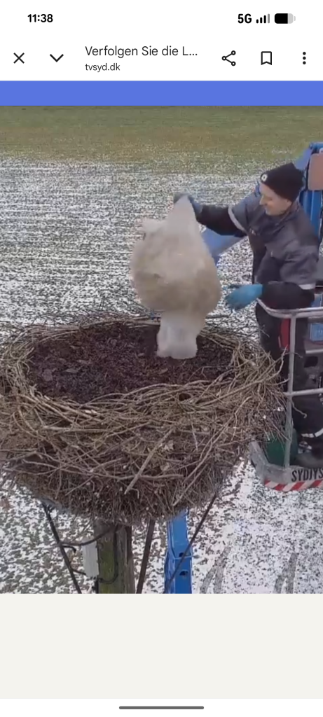 Screenshot_20260207-113819 (1).png