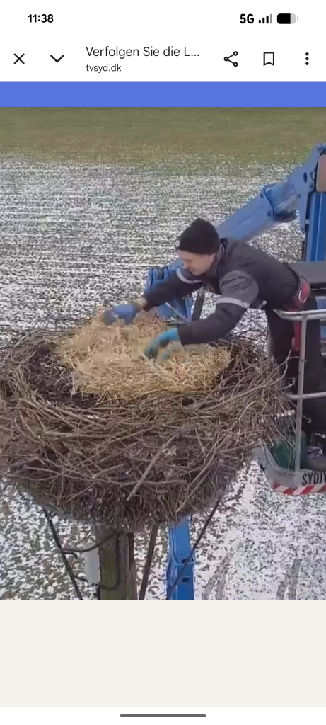 Screenshot_20260207-113829 (1).png