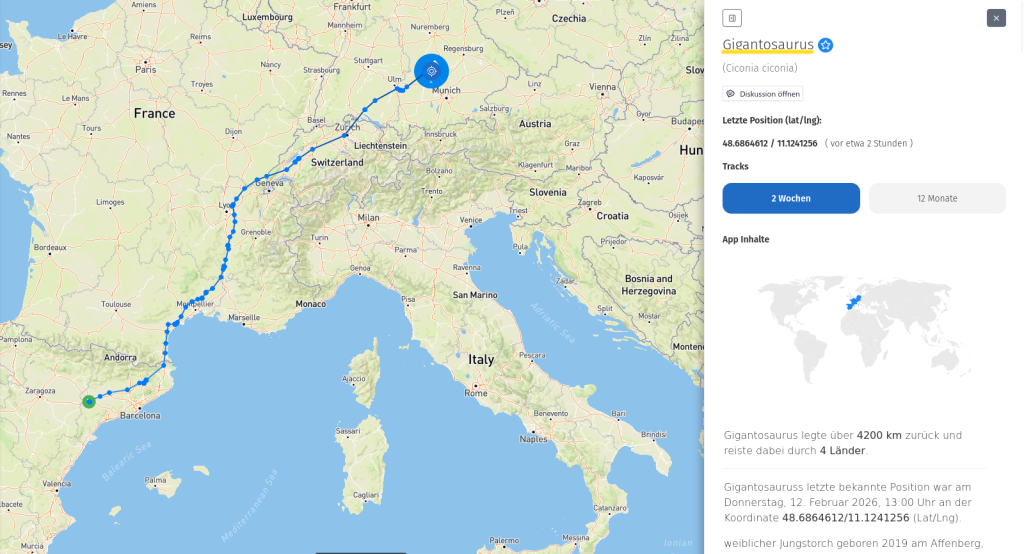 Gigantosaurus ist Zuhause