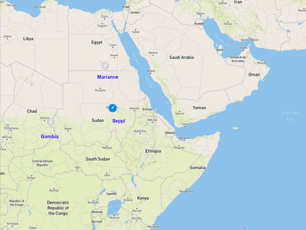 Screenshot 2026-02-12 at 15-47-56 Animal Tracker.png