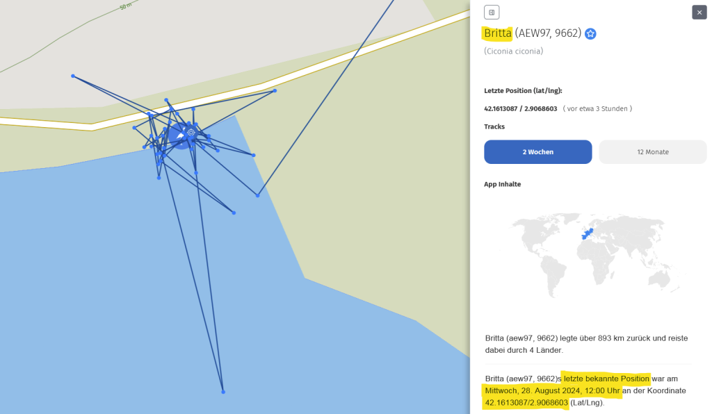 In der AnimalTracker-App deutlich zu sehen: Jungstorch Britta hat offenbar einen neuen Lieblingsplatz, wo er auch seit dem 25. August 2024 schläft: am Ufer des Rio Fluvià bei Bàscara.