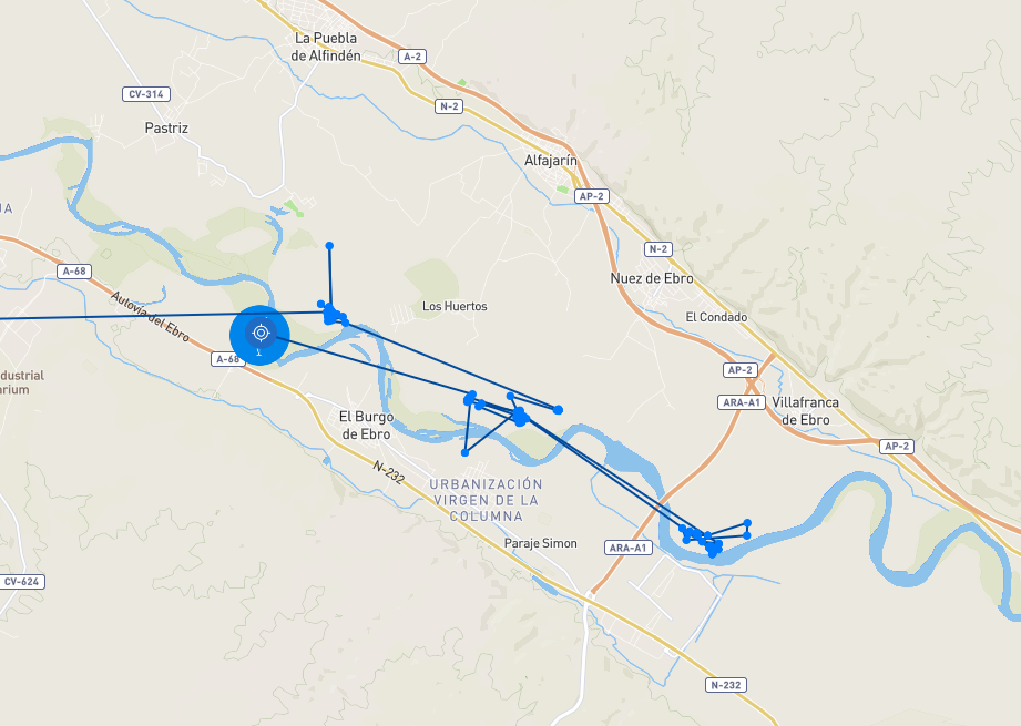 Elvis im Umfeld des Ebro.