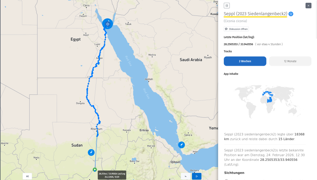 Seppl auf der Sinai-Halbinsel.