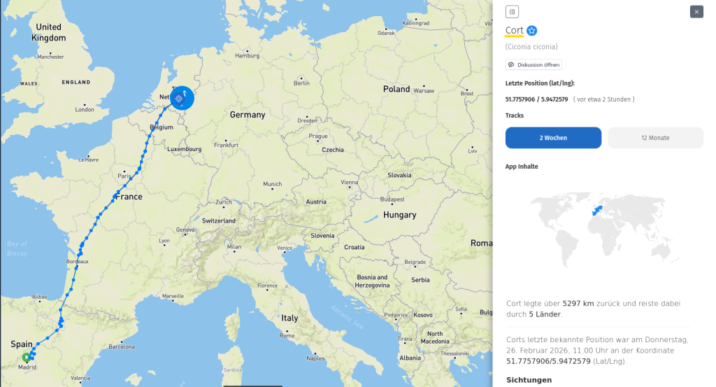 Cort scheint ein 'Express-Storch' zu sein, er kommt sehr zügig voran.