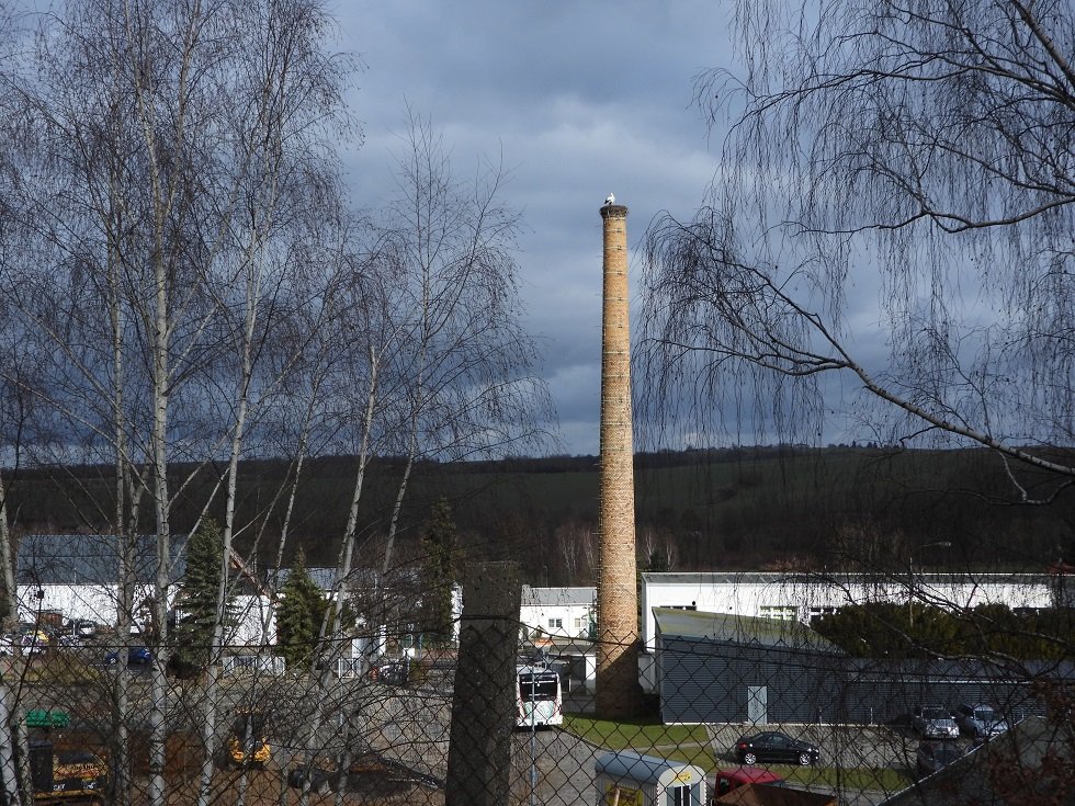 Rochlitz 24.02.26.JPG