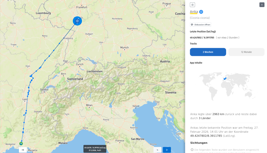 Anka fliegt jetzt doch sehr zielstrebig Richtung Heimat.