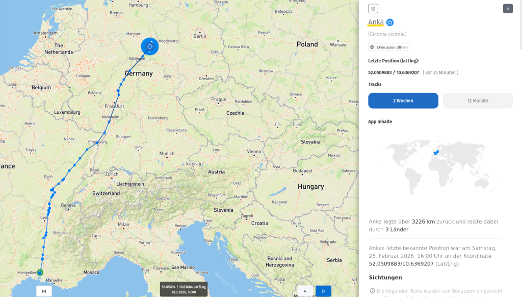 Anka ist am 28.Februar 2026 wieder in Seinstedt an ihrem Nest angekommen.