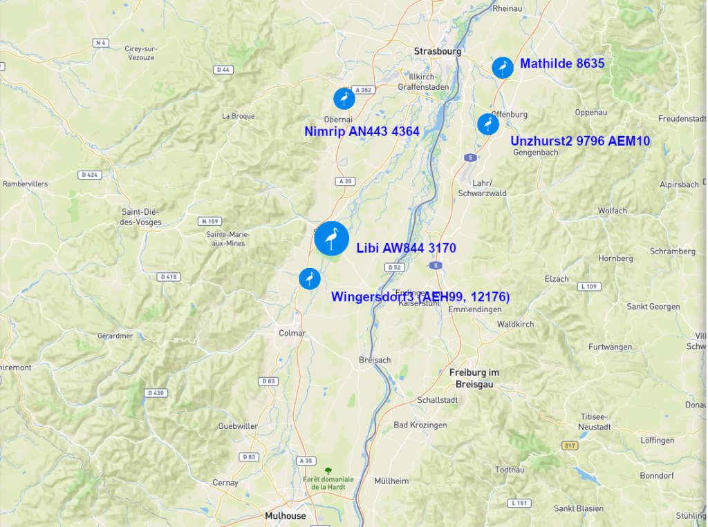 Screenshot 2026-03-03 at 19-46-21 Animal Tracker.png