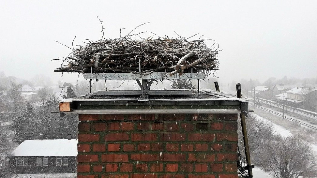 19.01.. J.H. Mosel 19.01.2018.jpg