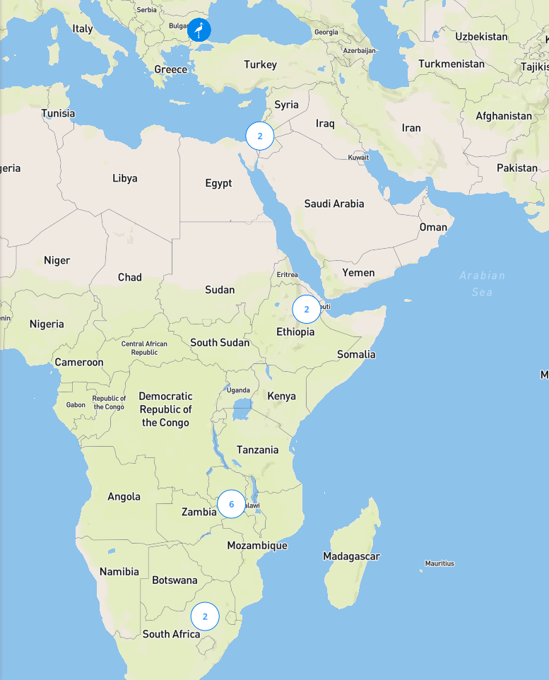 Alle aktuell im AT sichtbaren Störche, die auf der Ostroute fliegen. Das sind lediglich 13 Vögel.