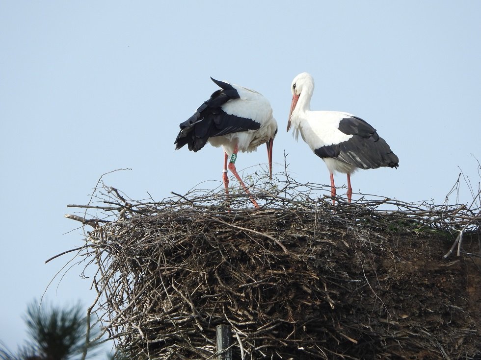 10.03.26 FPNA in Sprotta .JPG