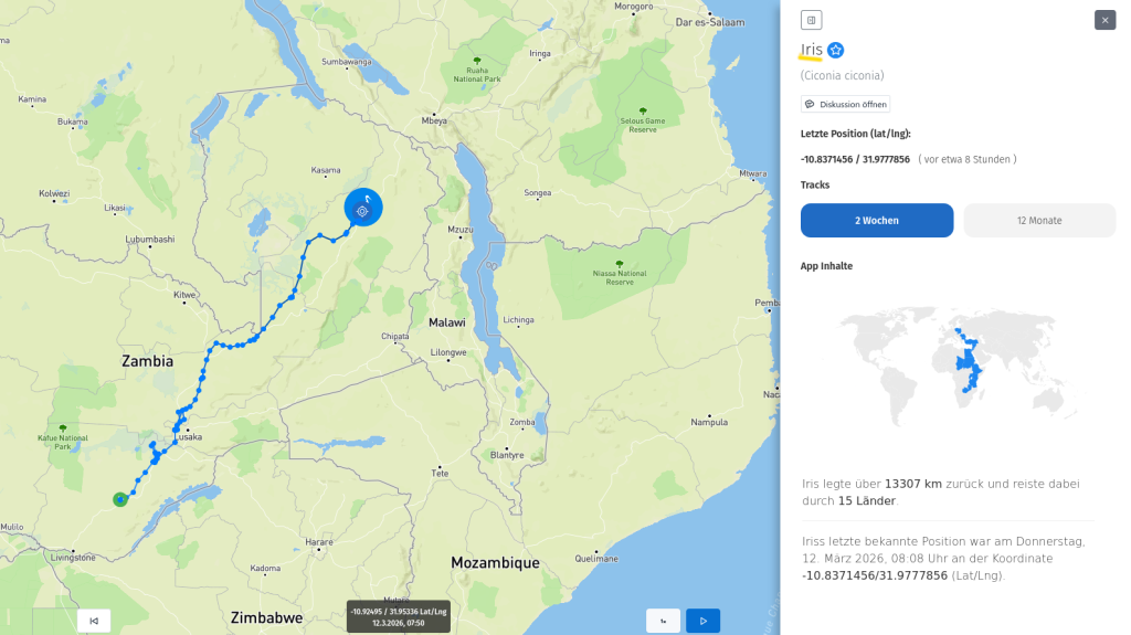Iris am 12. März 2026.