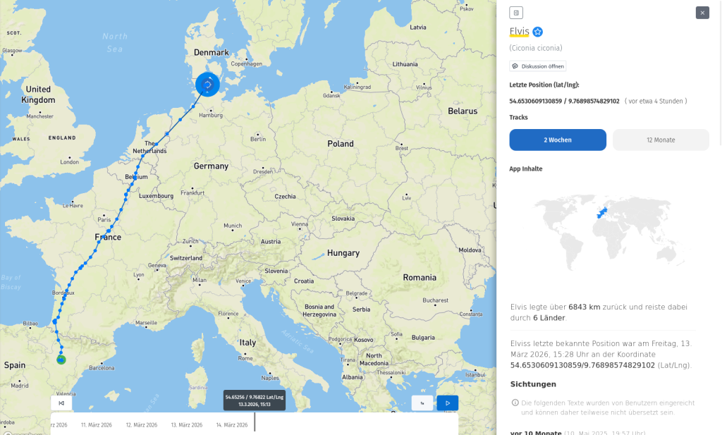 Elvis ist Zuhause angekommen! 13. März 2026.