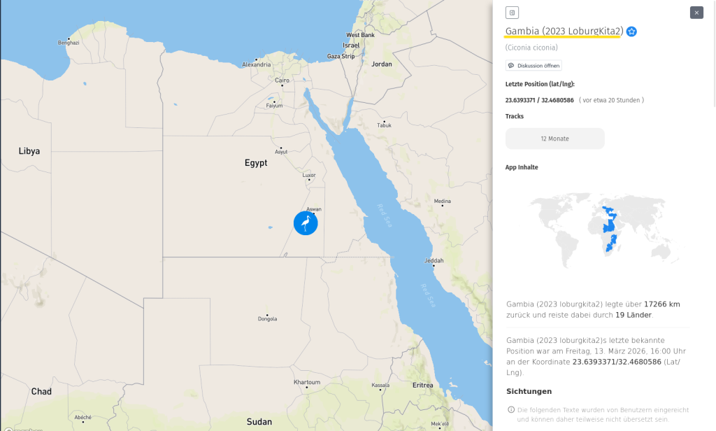 Die Loburger Störchin Gambia ist am Leben. Nach Monaten im Offline-Modus ist sie seit gestern wieder sichtbar.
