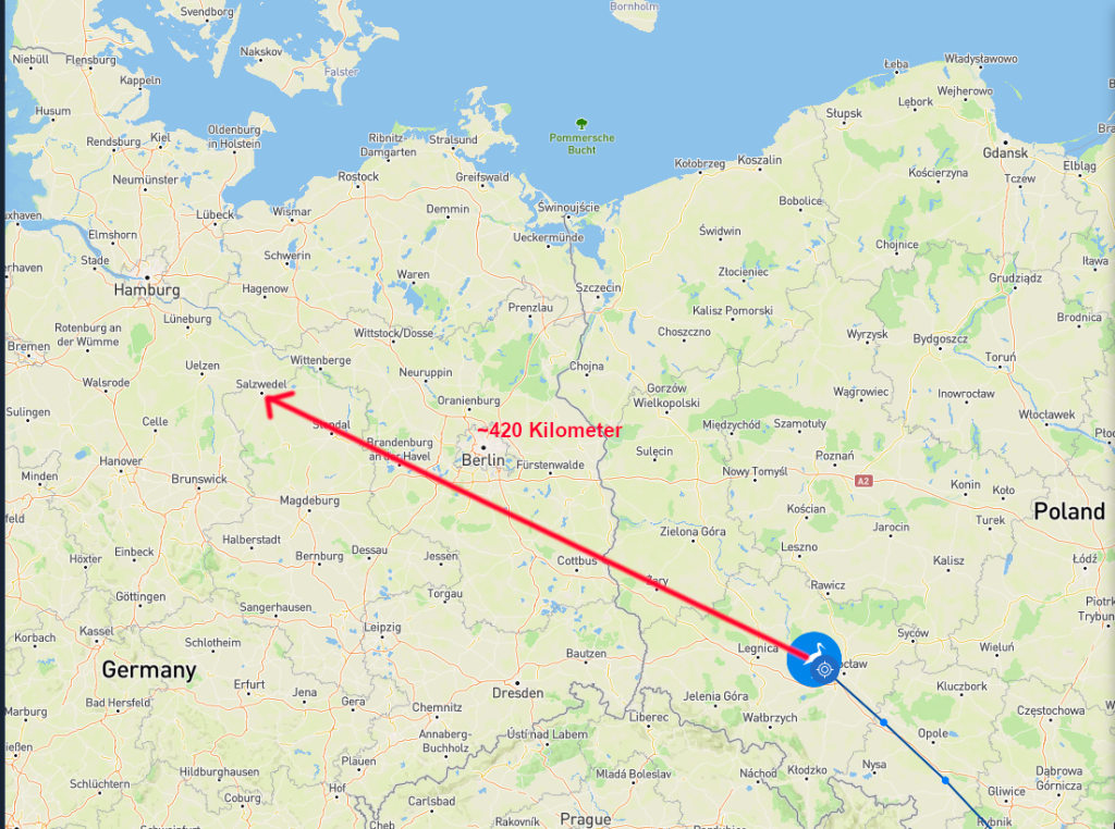 Basuto muss noch ungefähr 420 Kilometer fliegen, um in heimatlichen Gefilden anzukommen.