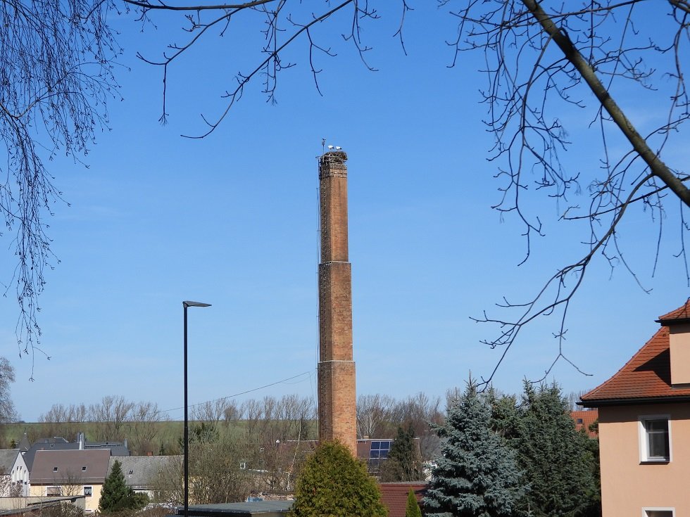 Mügeln 13.03.26.JPG