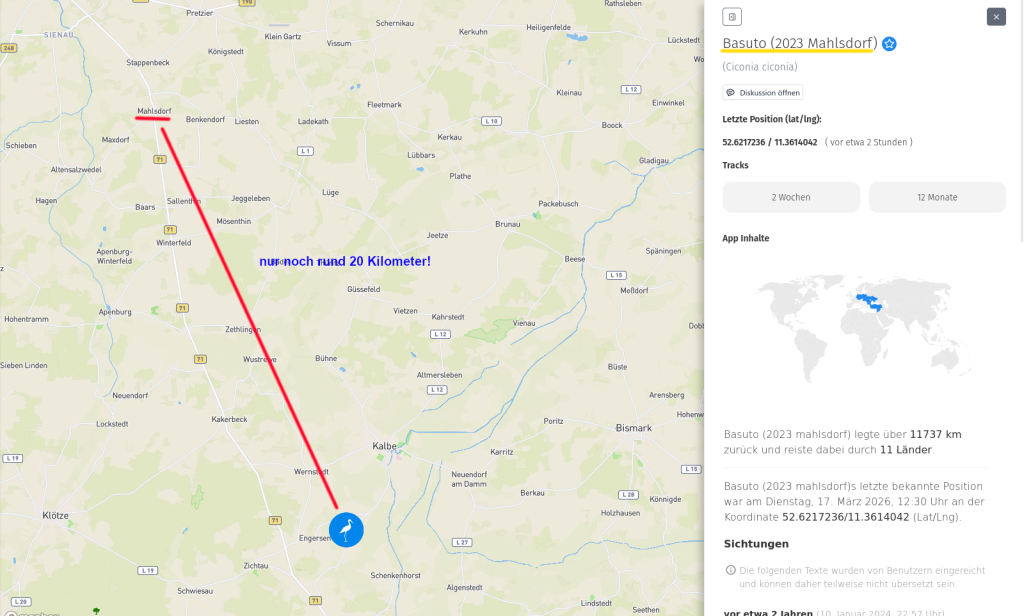 Basuto ist gewissermaßen Zuhause. Nur 20 Kilometer sind es bis zu seinem Schlupf-Nest in Mahlsdorf.