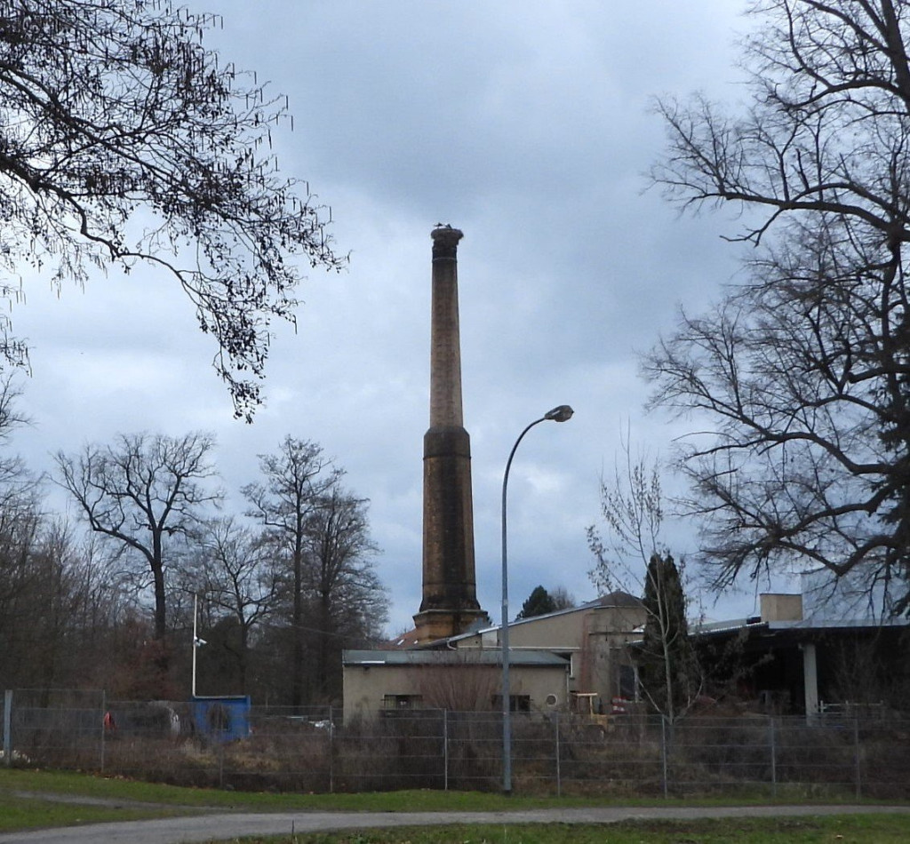 Glauchau Geseda .JPG