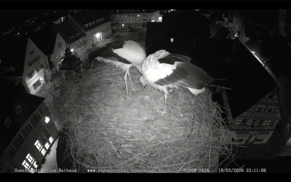 Höchstadt_1.Ei -2026-03-19.png