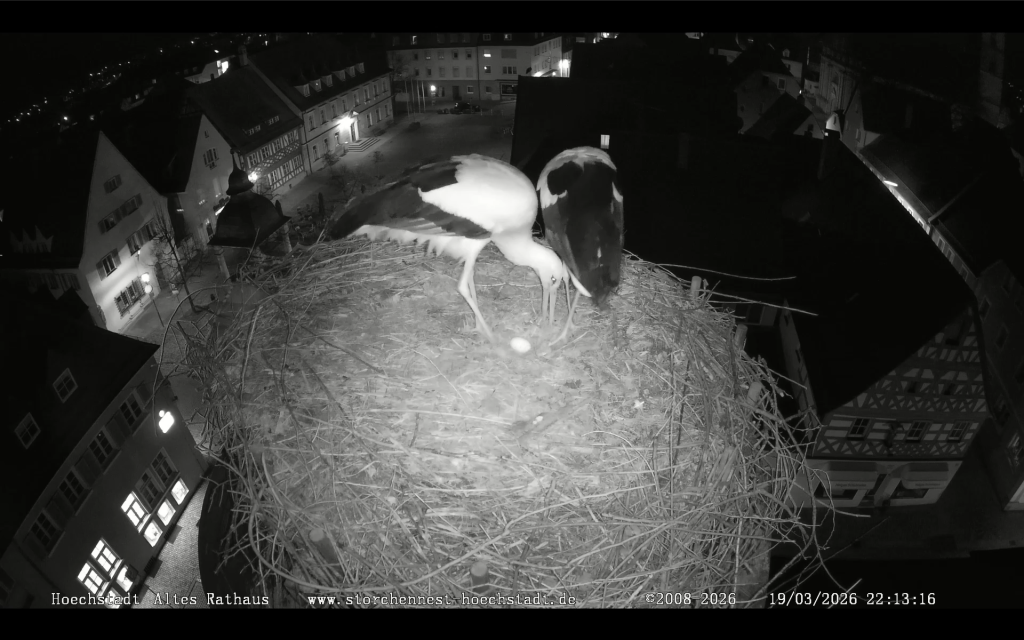 Höchstadt_1.Ei -2026-03-19_1.png