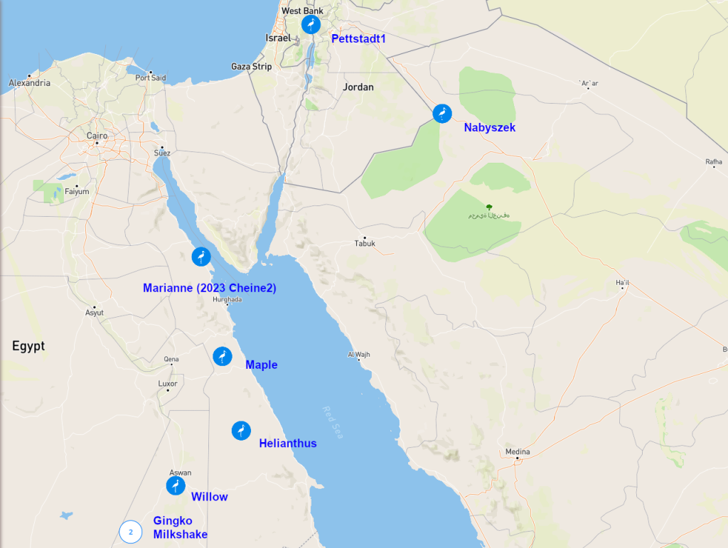 Screenshot 2026-03-20 at 21-11-56 Animal Tracker.png