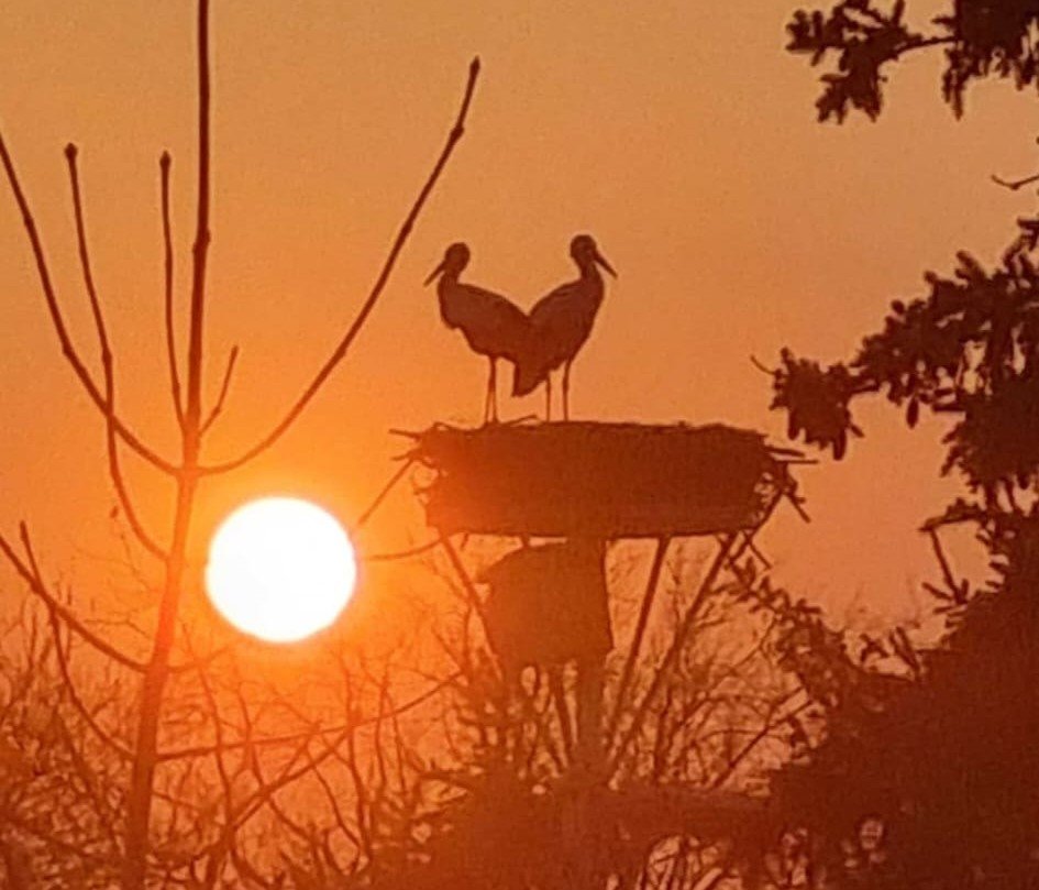 Thräna Garagenhorst  Foto Jörg Spörl .jpg