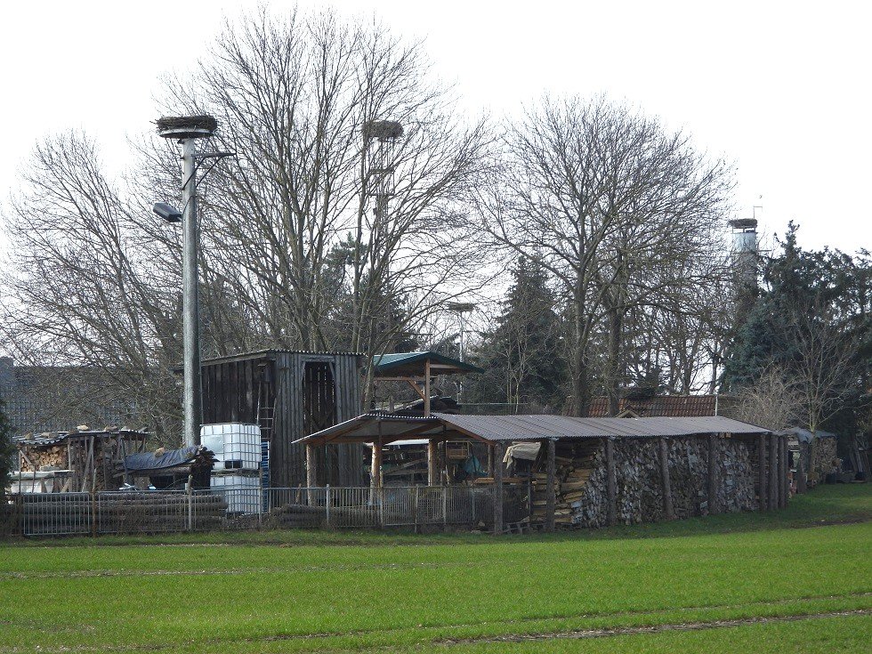 Thräna 2024 Archiv US..JPG