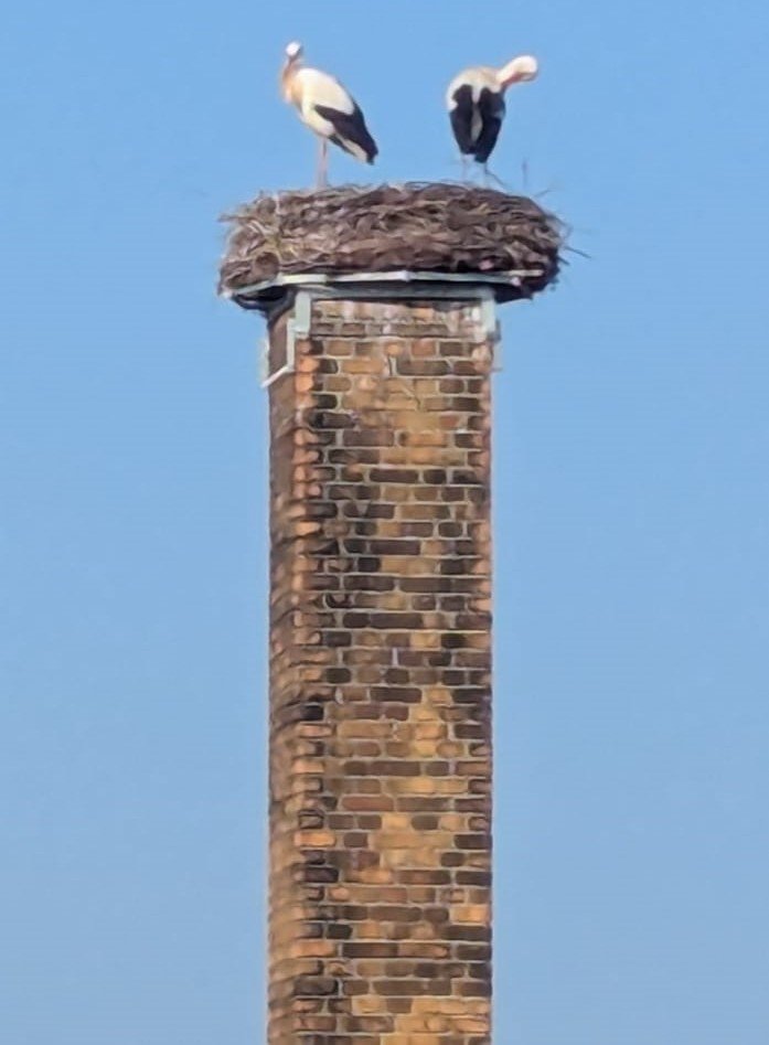 Seifertshain  Foto Frau Ackermann.jpg